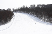 白桦滑雪道 图像