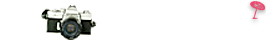 ライブカメラ