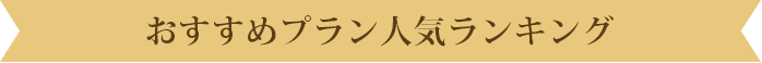 おすすめプラン人気ランキング