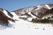 浪漫滑雪道　圖像