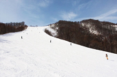 冠軍A滑雪道　圖像