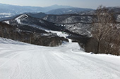 蒙古櫟滑雪道　圖像