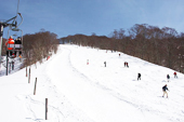 山毛榉滑雪道上 图像