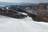 大叶栎滑雪道 图像