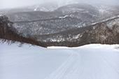 七叶树滑雪道 图像