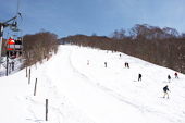 Bunanoki (Beech tree) course Top Image